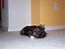 yoyo10.jpg