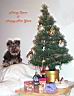 yoyo-xmas1.jpg