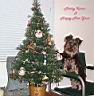 yoyo-xmas2.jpg